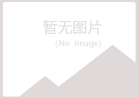 白银平川伤口建设有限公司